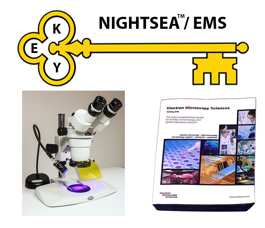 EMS宣布收购美国NIGHTSEA公司