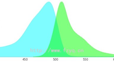 mEGFP绿色荧光蛋白的激发光和发射光