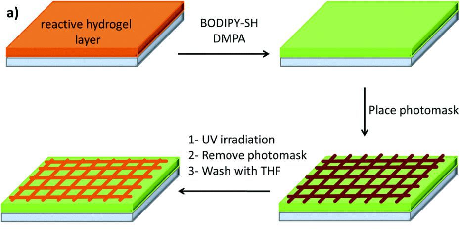 c3bm60171d-f8_hi-res.jpg